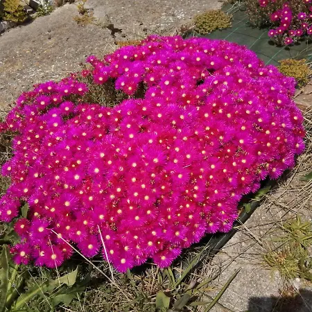 Somonte Costa Σπίτι διακοπών