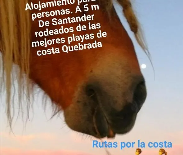 Somonte Costa Santander