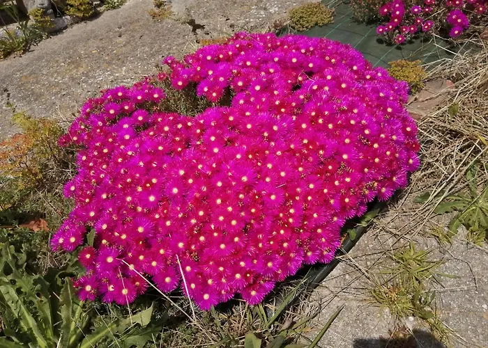 Somonte Costa Nyaraló